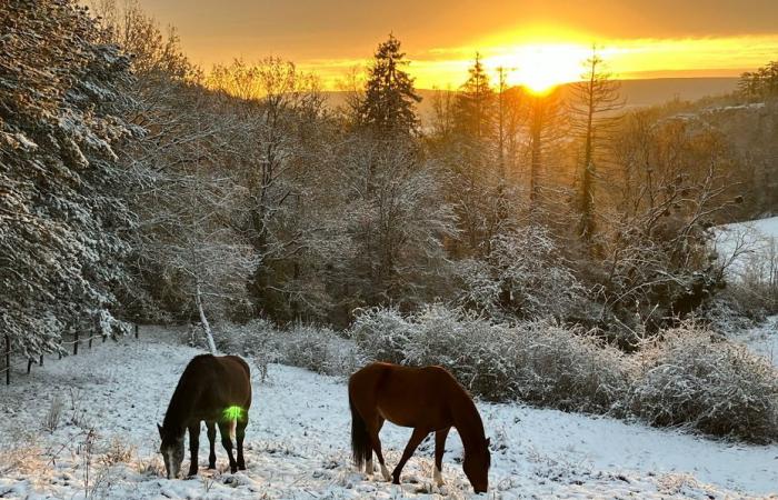 La Bourgogne se réveille sous un joli tapis blanc