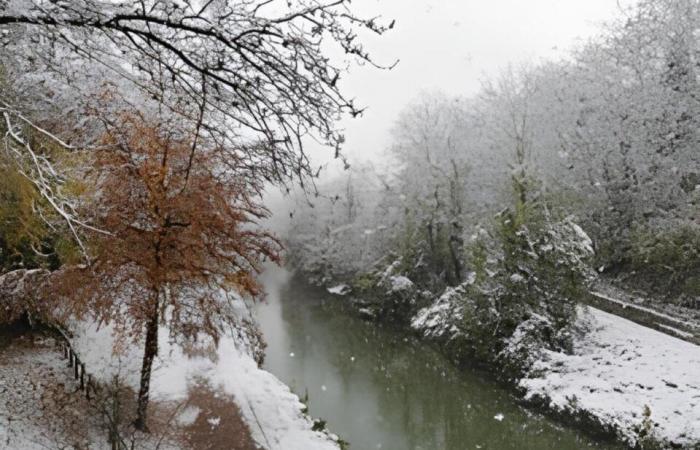 EN IMAGES. De Meaux à Disneyland Paris, les plus belles photos de neige en Seine-et-Marne