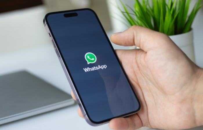 WhatsApp peut désormais transcrire les messages vocaux en texte (mais il y a un hic)