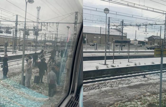 un train arrêté plus de 6 heures entre Paris et Marseille, ses passagers contraints de repartir de la gare de Lyon