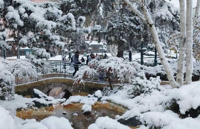 EN IMAGES. De Meaux à Disneyland Paris, les plus belles photos de neige en Seine-et-Marne