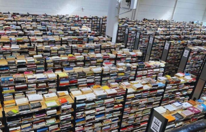 Bon plan. 20 000 livres vendus 1 € dans un gigantesque entrepôt de Villeneuve-d’Ascq ce samedi !