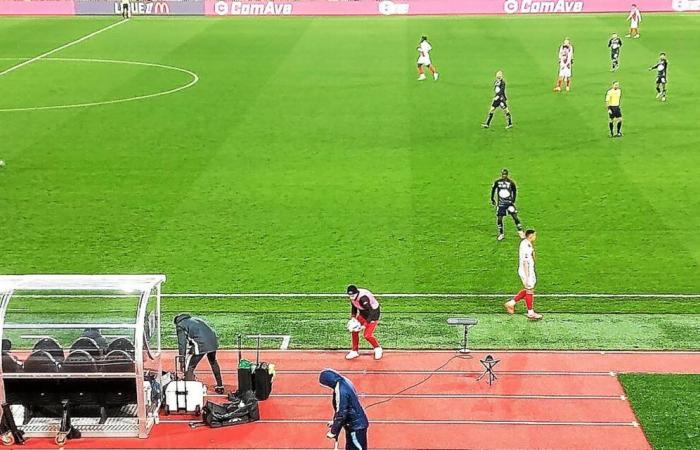 Éric Roy (Stade Brestois) inquiet pour Lees-Melou : « Une soirée cauchemardesque… »