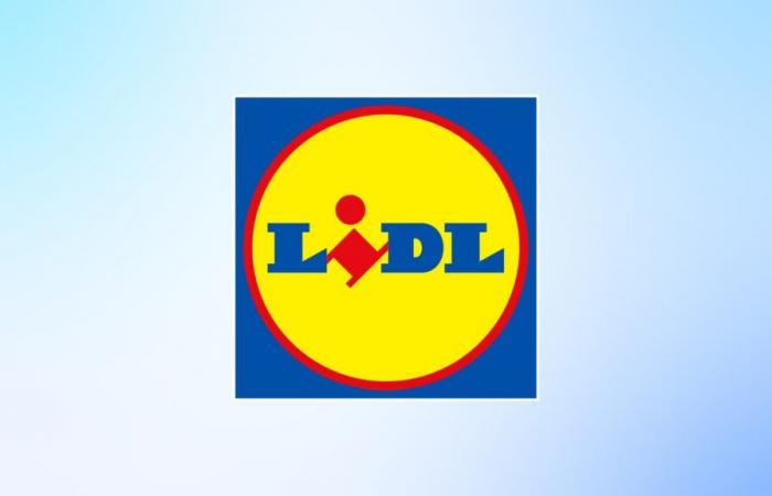 Lidl pense que c’est le Père Noël ? Les décorations sont toutes à petits prix en ce moment