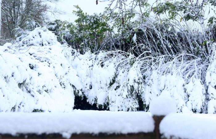 un risque de recongel avant une vague de douceur ce week-end