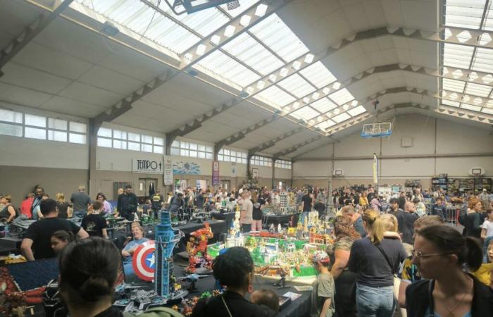 1 000 m2 de Lego® à découvrir lors d’une exposition près de Beauvais tout le week-end