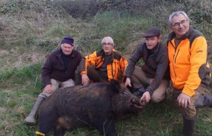 Les chasseurs qui ont abattu un sanglier record de 205 kg nous ont raconté leur histoire