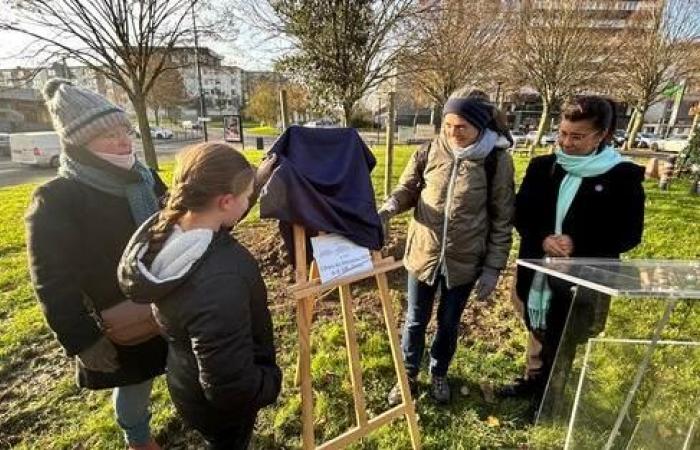 ce qui vous attend à la Fête de l’Arbre ce 23 novembre