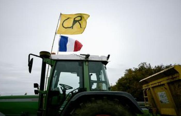 au Pays Basque, la Coordination Rurale déverse des tonnes de déchets et de lisiers devant deux magasins de grande distribution