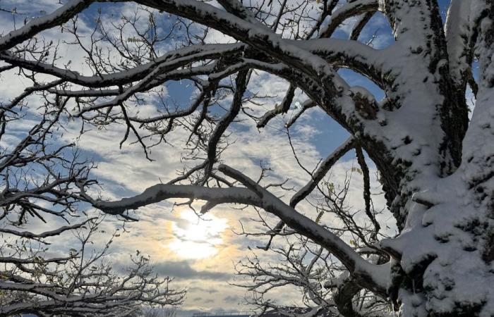 RAPPORT MÉTÉO. Vigilance jaune à la neige et au verglas maintenue samedi et dimanche… jusqu’à 17 degrés en Bourgogne !