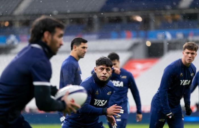 Les Pumas clôturent leur 2024 face à la France, dans un classique avec tous les assaisonnements