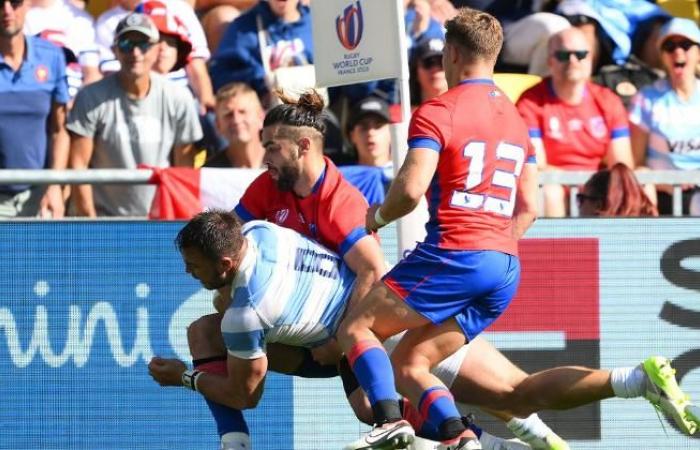 “Les chiens affamés ne sont pas loyaux”, tensions à World Rugby après la défaite de Benazzi