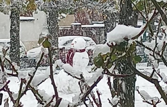 EN IMAGES. De Meaux à Disneyland Paris, les plus belles photos de neige en Seine-et-Marne