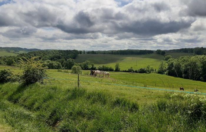 le parc agrivoltaïque des Beaumarchés est en difficulté