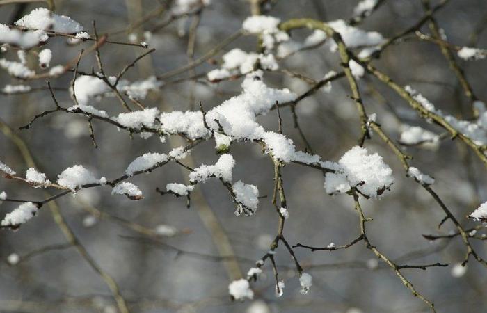 « Routes glissantes », quelques centimètres de neige supplémentaires pourraient tomber… 21 départements toujours en alerte orange