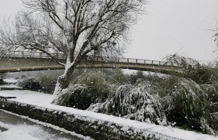 EN IMAGES. De Meaux à Disneyland Paris, les plus belles photos de neige en Seine-et-Marne