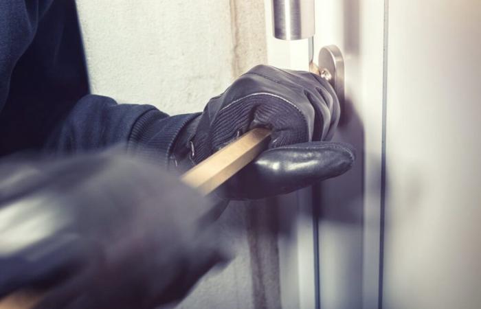 ????????Lozère. Femme de 63 ans violée collectivement et battue lors d’un cambriolage, suspect arrêté