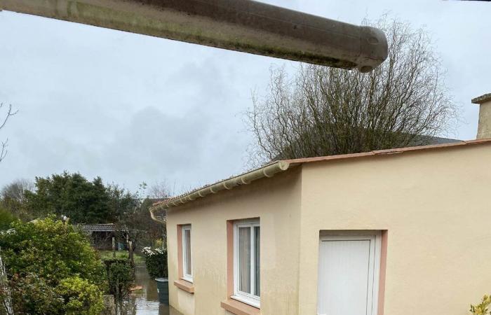 un collectif dénonce un projet immobilier en zone inondable