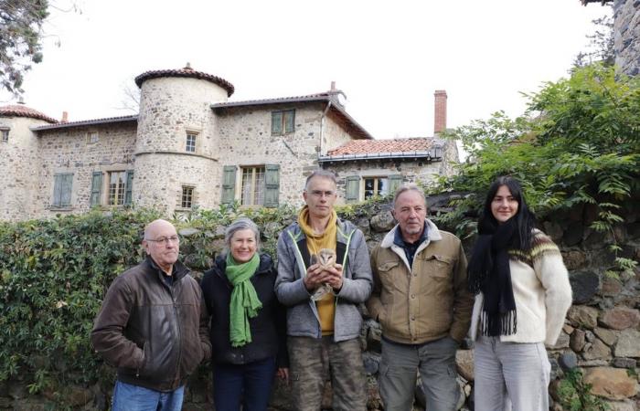 En Haute-Loire, la belle histoire de ces frères et sœurs d’effraies cloches tombées du nid