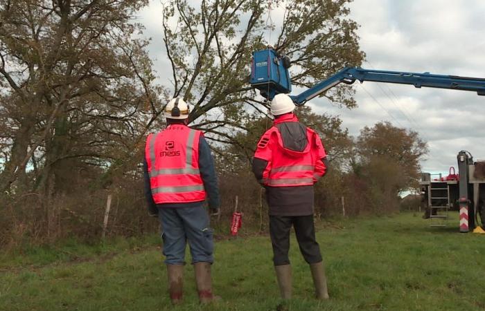 jusqu’à 9 000 foyers privés d’électricité en Limousin au plus fort de l’événement