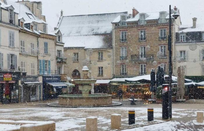 EN IMAGES. De Meaux à Disneyland Paris, les plus belles photos de neige en Seine-et-Marne