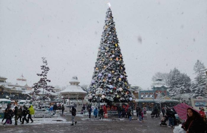 EN IMAGES. De Meaux à Disneyland Paris, les plus belles photos de neige en Seine-et-Marne