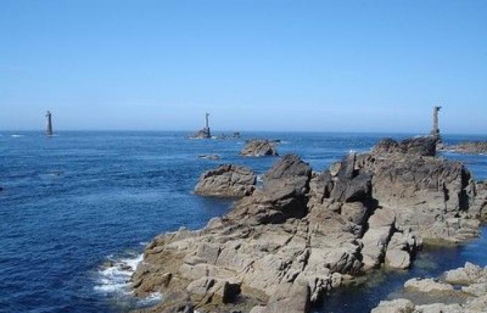 un homard doré, spécimen rarissime, pêché sur l’île d’Ouessant