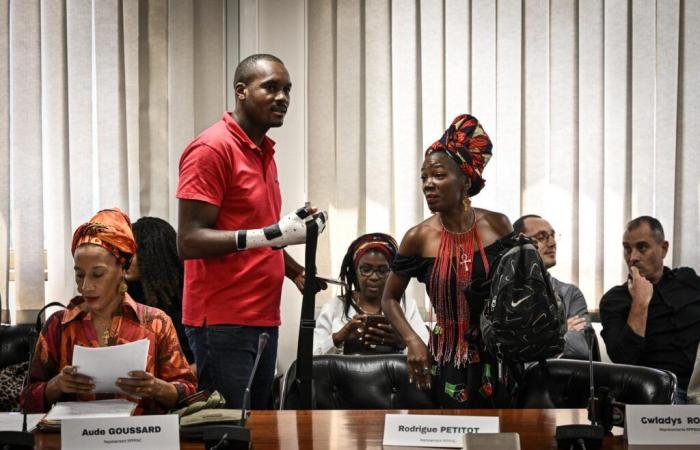 En Martinique, trois membres du collectif de lutte contre la vie chère arrêtés