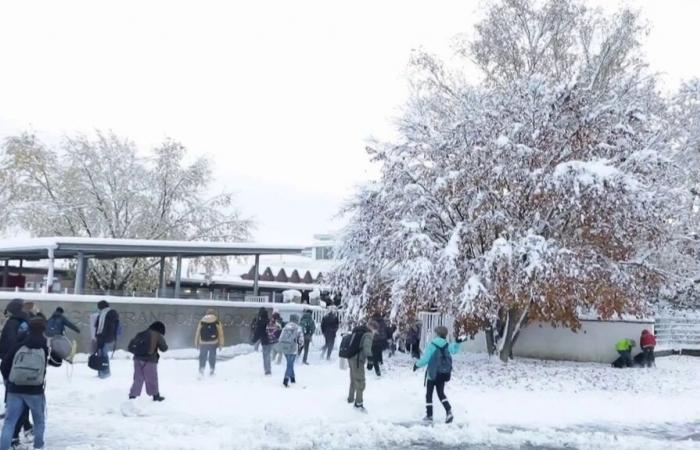 jusqu’à 30 centimètres de neige dans le Haut-Rhin