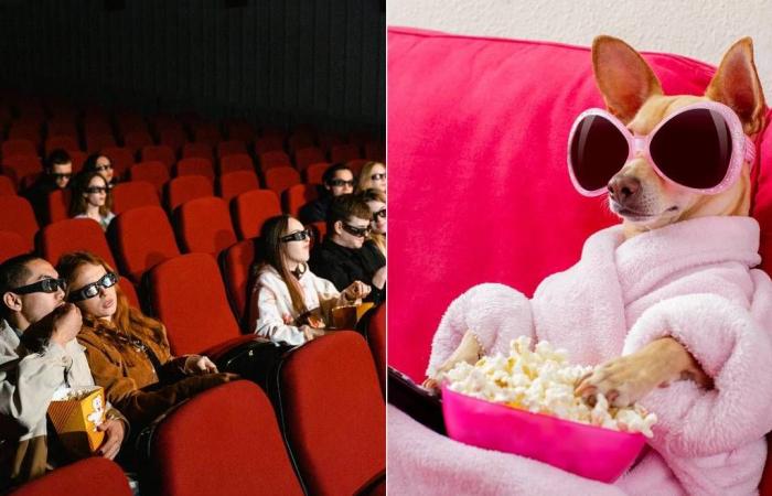 Un cinéma ouvre ses portes aux chiens à Paris en décembre !