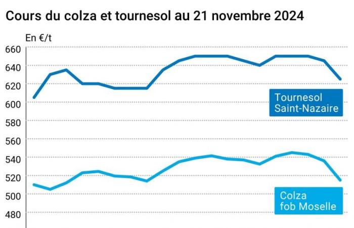 Oléagineux – Les prix des oléagineux s’effondrent, avec des craintes sur les conséquences du retour au pouvoir de Donald Trump