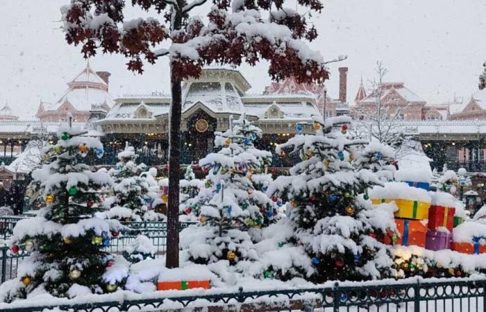 EN IMAGES. De Meaux à Disneyland Paris, les plus belles photos de neige en Seine-et-Marne