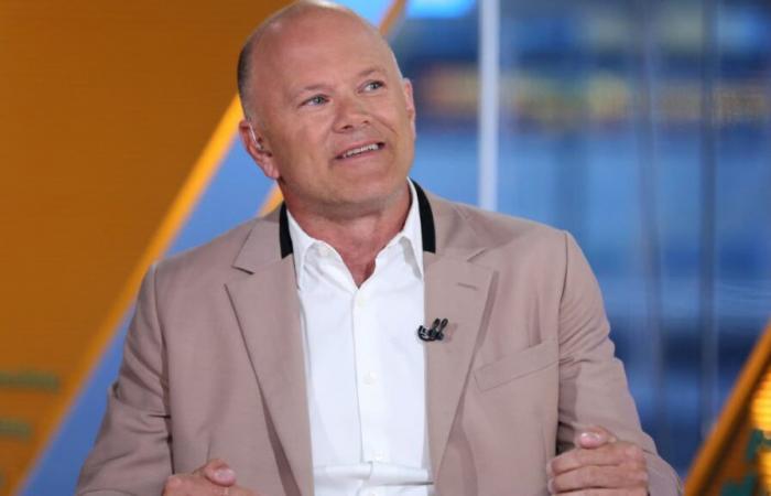 Novogratz prévient qu’il y aura une correction du Bitcoin, affirme que la crypto est « exploitée jusqu’aux branchies »