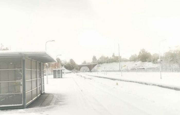 les trains arrêtés et les passagers évacués