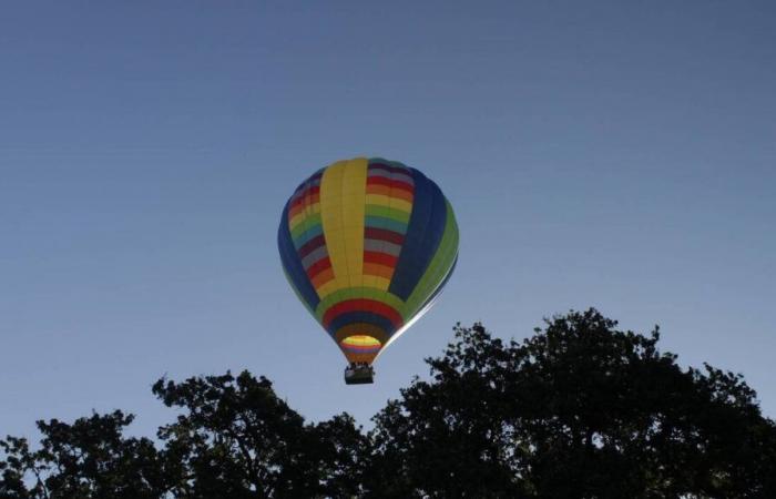 Quel temps fera-t-il à Avignon et ses environs le vendredi 22 novembre 2024 ?