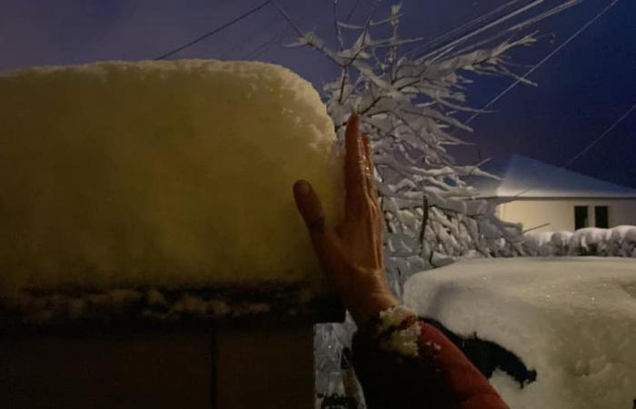 EN IMAGES. Et 10, 15, 20, 25 centimètres de neige ! Vos impressionnantes photos d’hiver en Franche-Comté