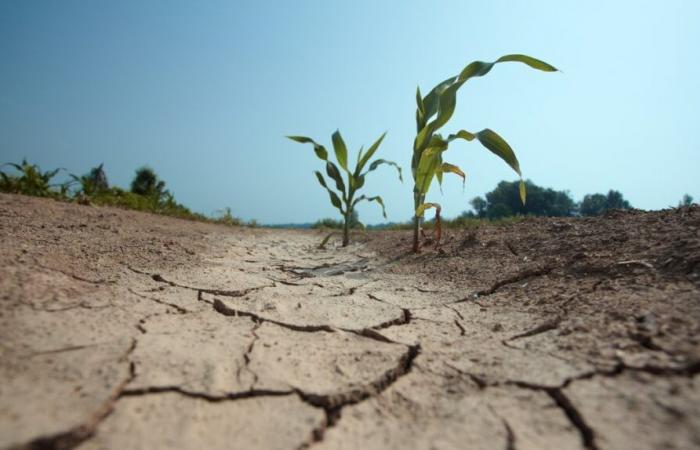 GARD Participer aux questions sur le changement climatique