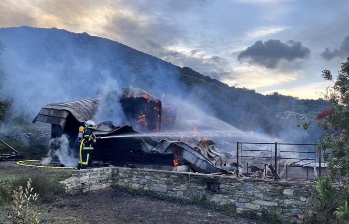 un couple perd tout dans l’incendie de sa maison