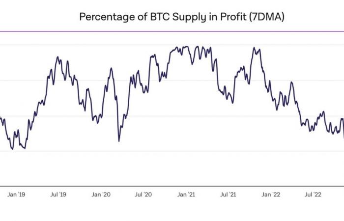 Bitcoin le 23 novembre – 99% des opérateurs en bénéfice sur BTC, l’heure de la hausse finale ?