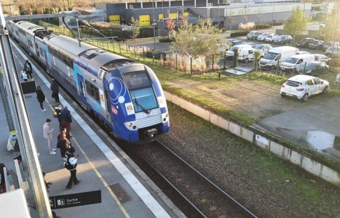 Tempête Bert. En raison de vents violents, des trains suspendus sur plusieurs lignes de la Manche