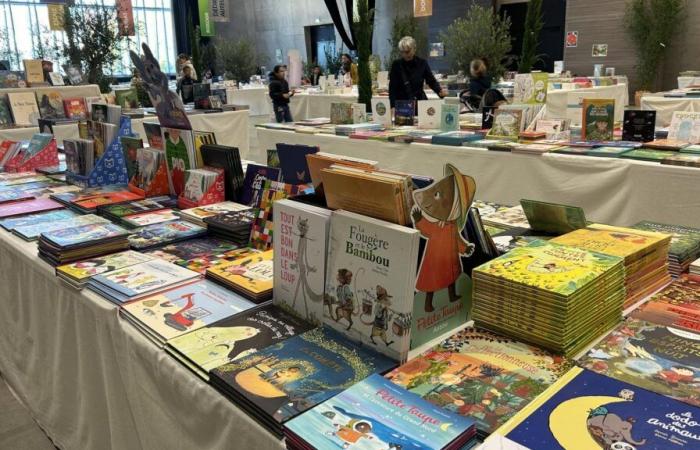 Au festival du livre jeunesse Grains de sel, « la littérature jeunesse répond aux exigences de la littérature »