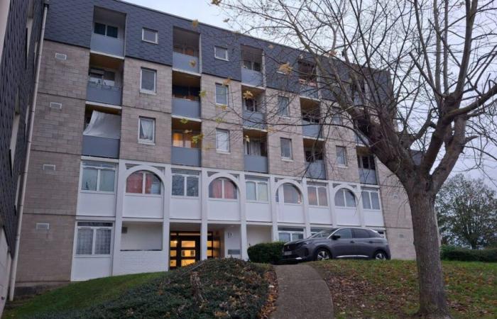 une femme poignardée à mort dans le Val-d’Oise, sa fille en garde à vue