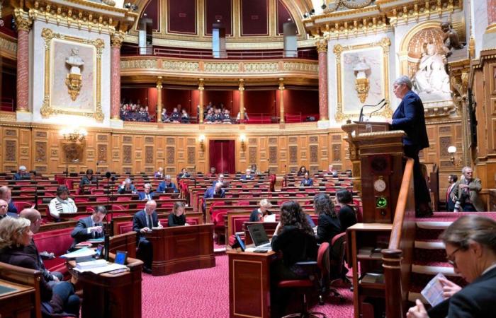 le Sénat vote deux extensions pour la dépendance des personnes âgées ou handicapées