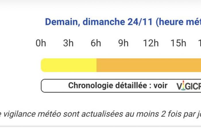 Weather alert for violent winds in the Pyrénées-Atlantiques, Hautes-Pyrénées, Ariège, Haute-Garonne and Tarn-et-Garonne Sunday November 24