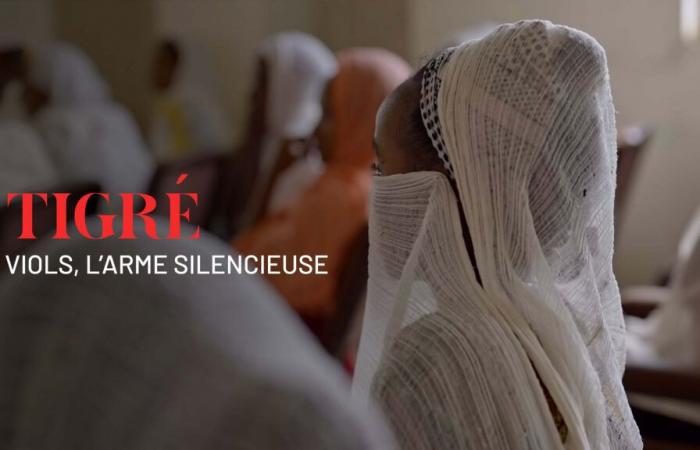 le viol, l’arme silencieuse – ARTE Reportage – Voir le documentaire complet