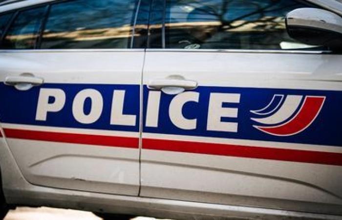 le corps d’une femme de 81 ans découvert dans un sac en forêt près de Blois