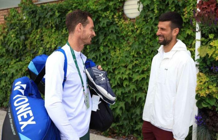 Andy Murray entraînera Novak Djokovic