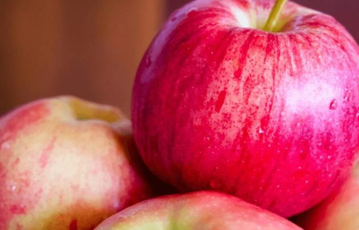 Peut-on grignoter une pomme entre les repas ?