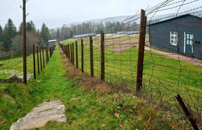 « Le camp du Struthof a fourni à l’Université de Strasbourg des êtres humains pour des expériences » – Libération