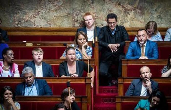 Les députés de La France insoumise souhaitent abroger le délit d’apologie du terrorisme